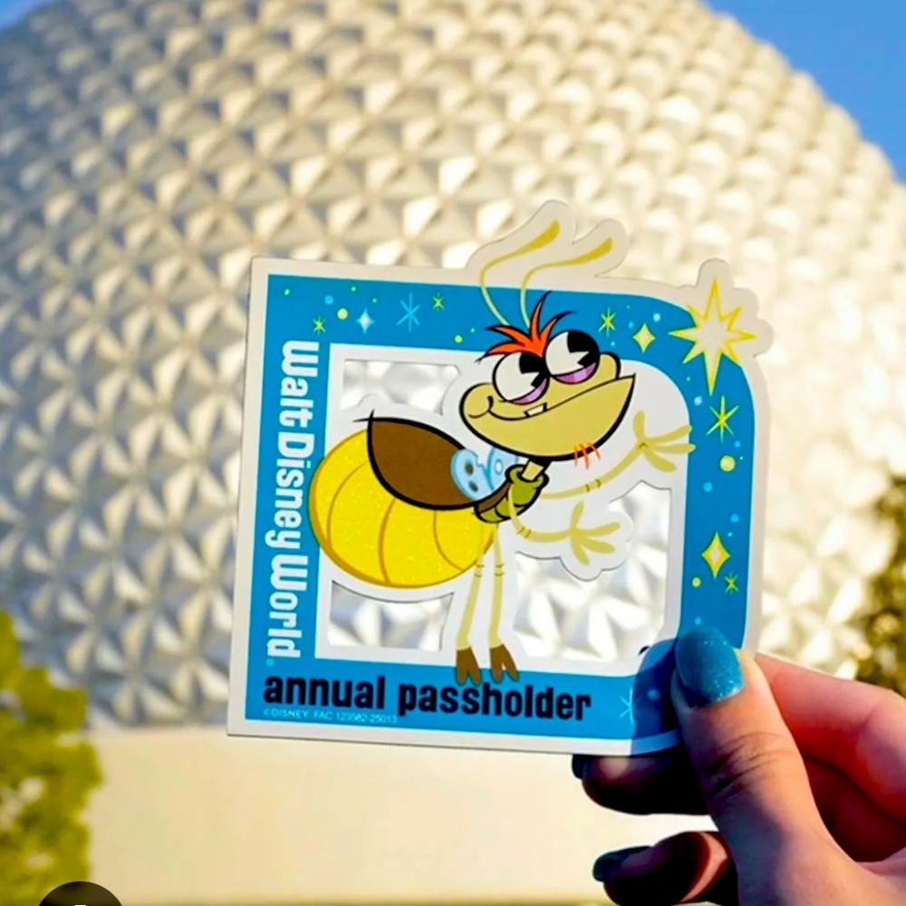 Disney passholder Raymon Magnet